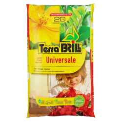 BRILL Universale lt 20