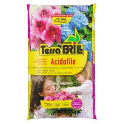 BRILL Acidofile lt 45