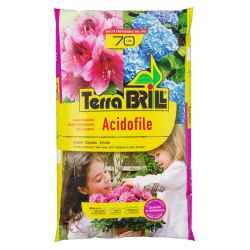 BRILL Acidofile lt 70