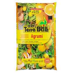 BRILL Agrumi lt 45
