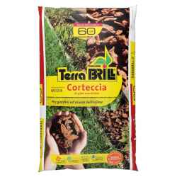 BRILL Corteccia media mm...