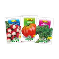 Ortolano Bustina Big Pack