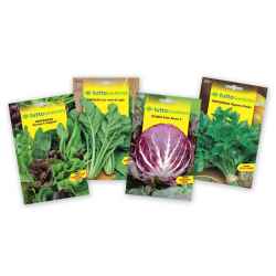 GARTENmarkt Samen BIG PACK