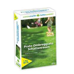 GARTENmarkt Schattenrasen Kg 1