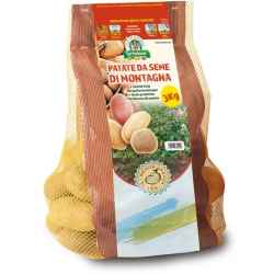 Patate Da Semina kg 3