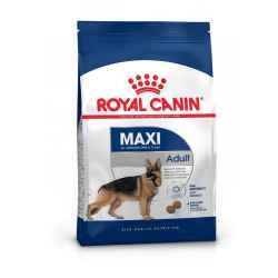 Roy Dog Maxi Adult Kg 15