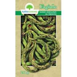 Tg Fag.Nano Anellino Di...