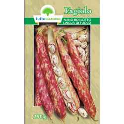 Tg Fag.Bor. Lingua Di F....