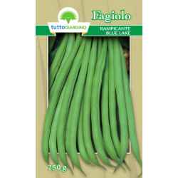 Tg Fagiolo Ramp. Blue Lake...