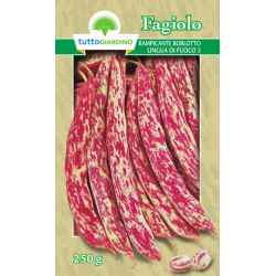 Gm Bohnen Ramp. Borlotto...