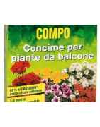 Concimi Tappeto Erboso